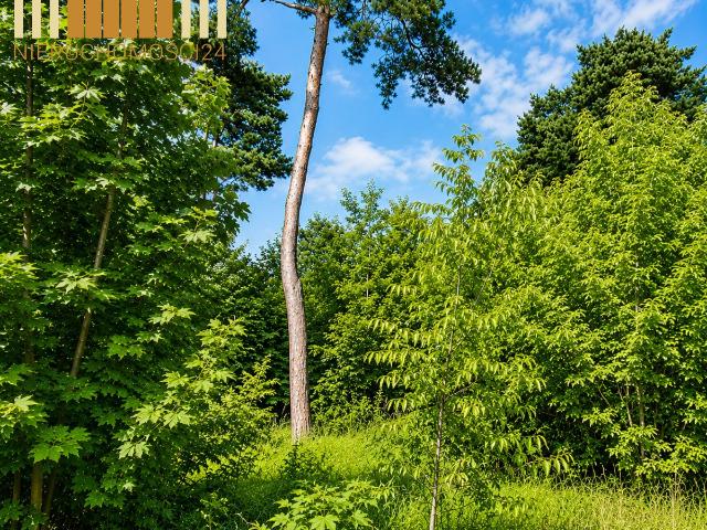 Polecam działkę 2800 m² pod dom jednorodzinny w Radości