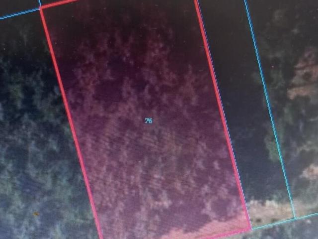 Działka 2812 m² z lasem i prądem, blisko rzek i jeziora