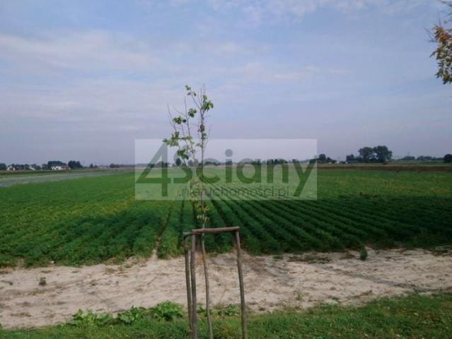 Działka 28 000 m², Płochocin