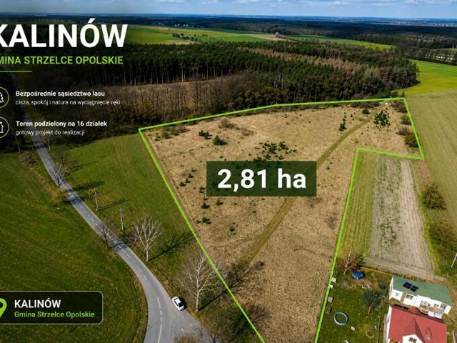Działka 28 106 m², Kalinów