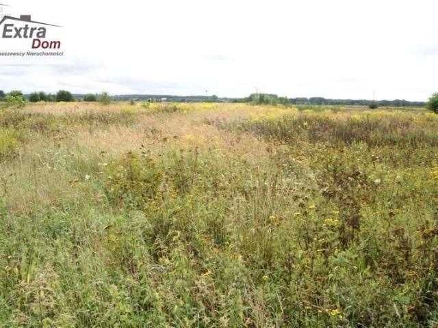 Działka 28 868 m², Rogozina