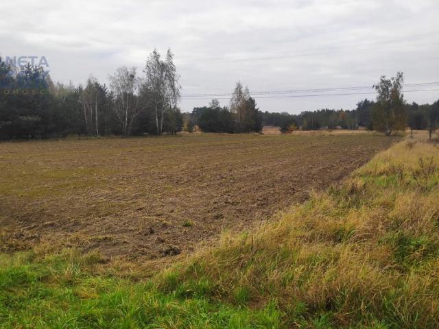 Działka 2985 m² pod dom i usługi w Kampinosie