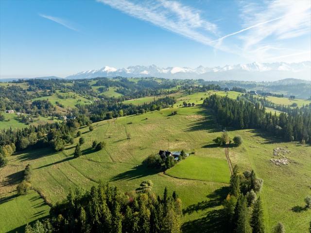Działka 2991 m² z projektem domu i pozwoleniem