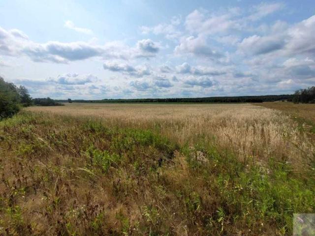 Działka 29 049 m², Krowica Hołodowska