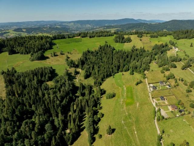 Działka 29 328 m², Obidowa