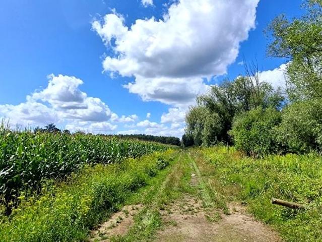 Działka 29 600 m², Tarnowiec