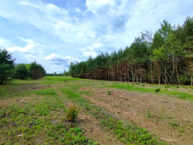 Działka 29 700 m², Uściąż