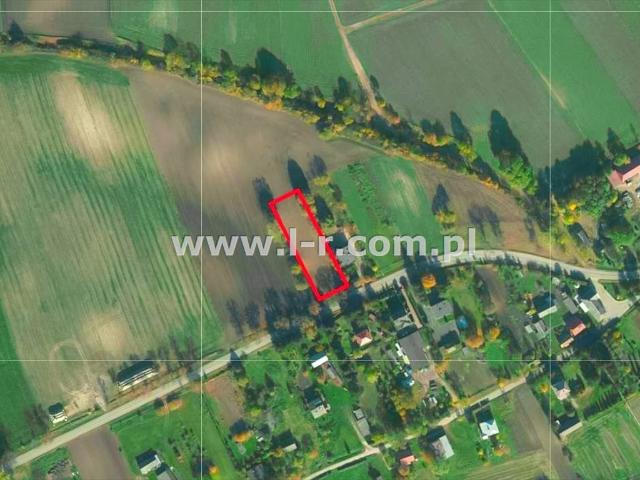 Działka 2000 m² z warunkami zabudowy i piękną naturą