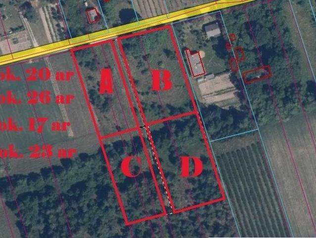 Działka 2000 m² z warunkami zabudowy i pięknym otoczeniem