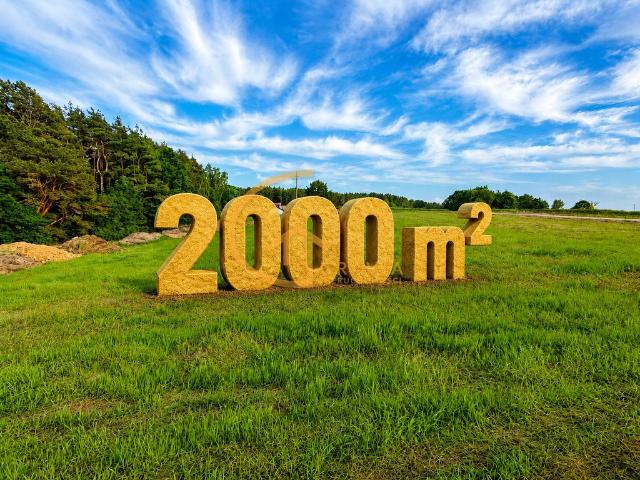 Działka 2000 m² przy lesie w Zbychowie – idealna pod dom lub inwestycję
