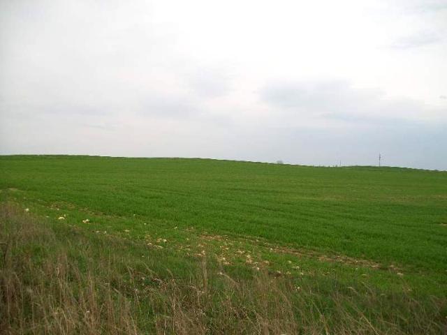 Działka 200 000 m², Częstochowa