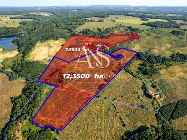 Działka 208 900 m², Kocury