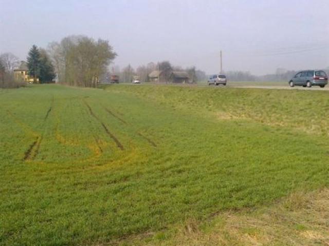 Działka 20 066 m², Grzawa