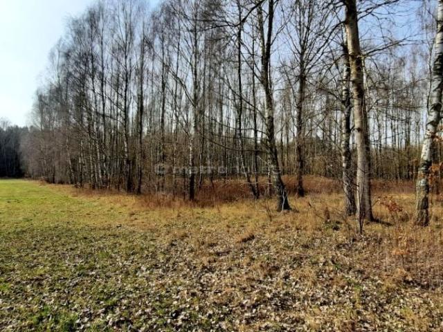 Działka 20 000 m², Dąbrówka Niwka