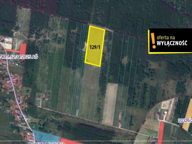 Działka 20 000 m², Jasień