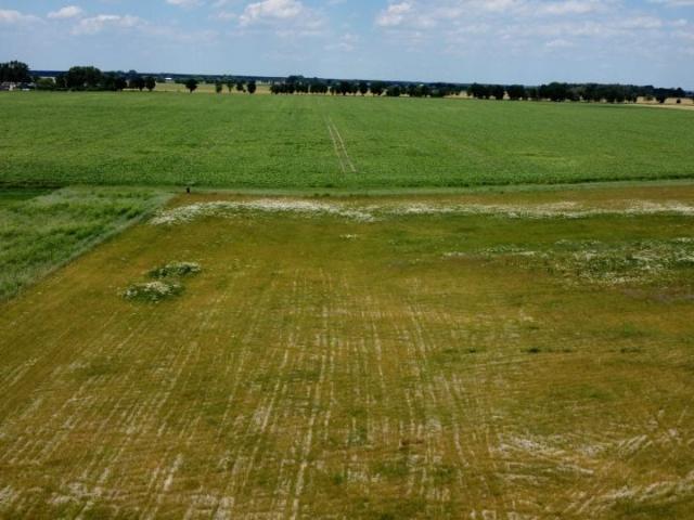 Działka 20 000 m², Kłecko
