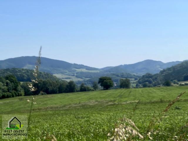 Działka 20 000 m², Radomierz