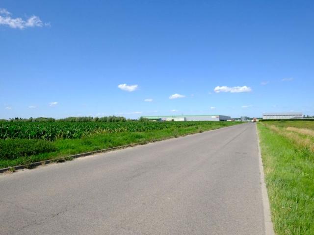 Działka 20 000 m², Teresin