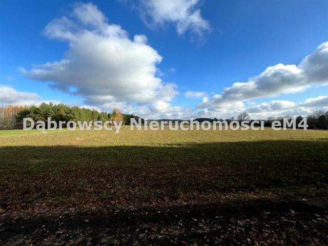 Działka 20 360 m², Planteczka