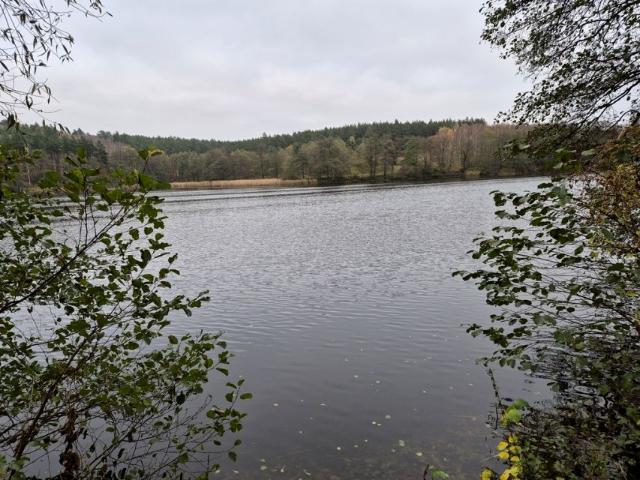 Działka 20 400 m², Chłopowo