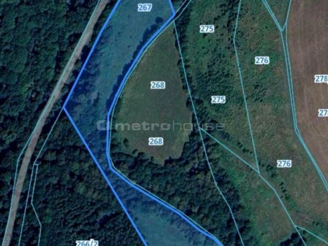 Działka 20 752 m², Nowy Waliszów