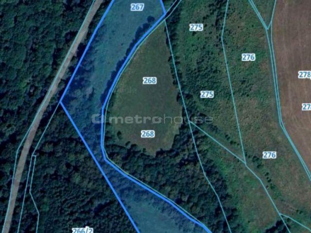 Działka 20 752 m², Nowy Waliszów