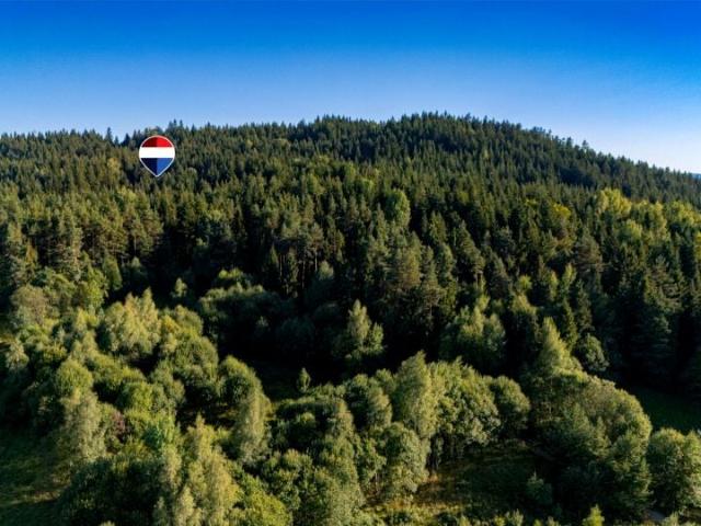 Działka 20 700 m², Kasina Wielka
