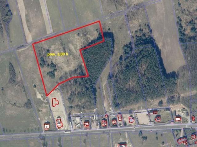 Działka 20 900 m², Nowe Kurowo