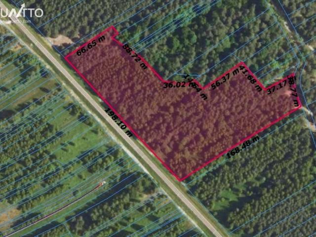 Działka 20 900 m², Budy Głogowskie