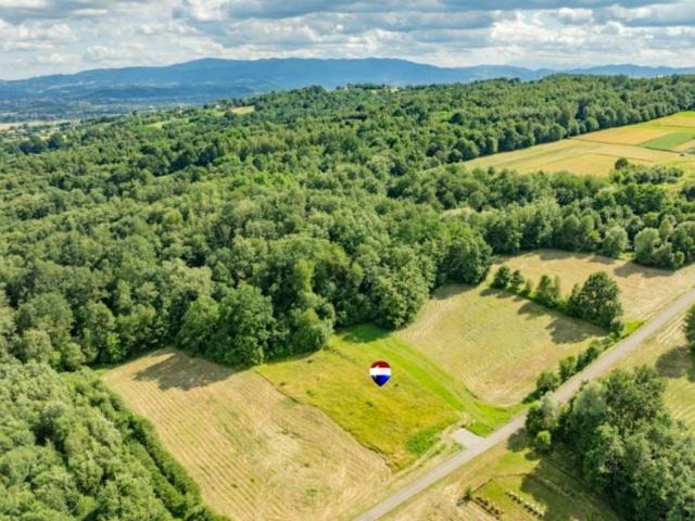 Działka 210 000 m², Trzetrzewina