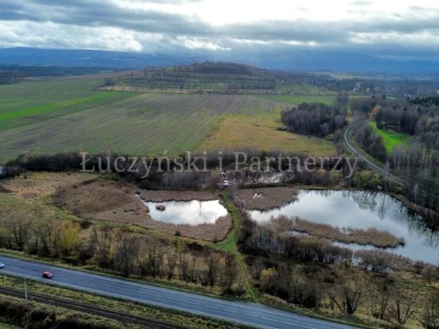Działka 211 190 m², Krzewie Wielkie