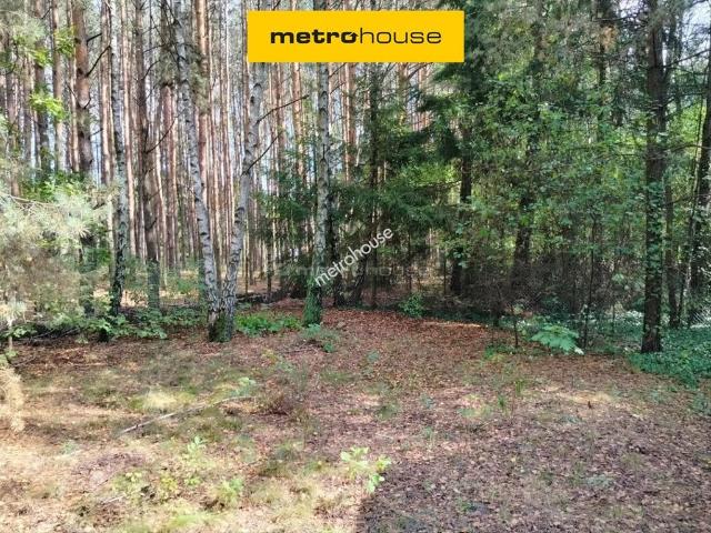 Działka 2141 m² pod dom w spokojnej okolicy Otwocka