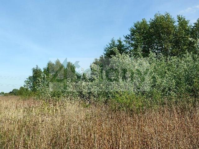 Działka 2191 m² w Wolicy z dostępem do mediów i planem zagospodarowania