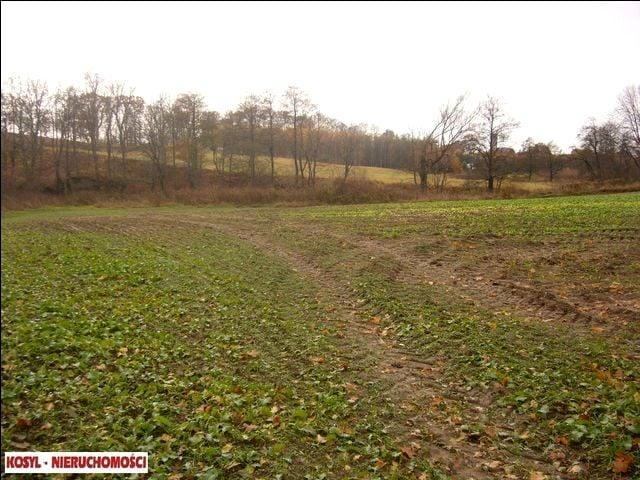 Działka 21 057 m², Pieniężno