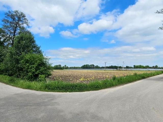 Działka 21 200 m², Dąbrowica