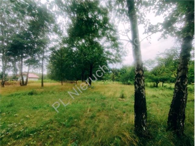 Działka 21 383 m², Górki