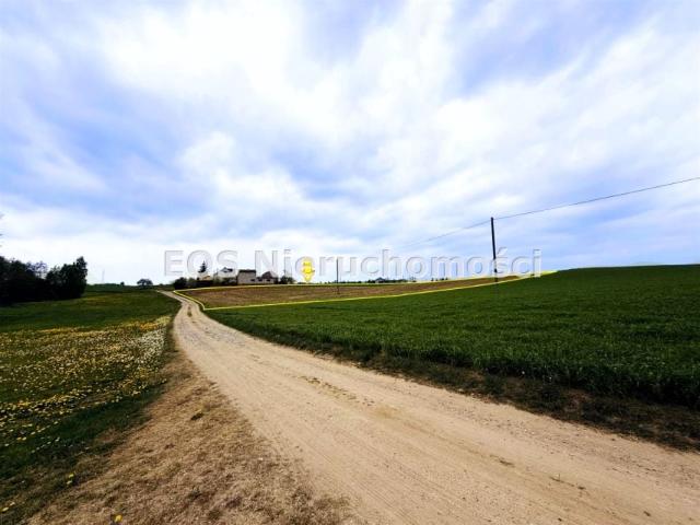 Działka 21 400 m², Długie