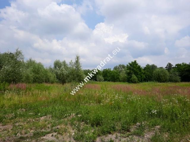 Działka 21 420 m², Domaniewek