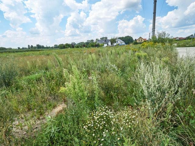 Działka 21 800 m², Brzezia Łąka