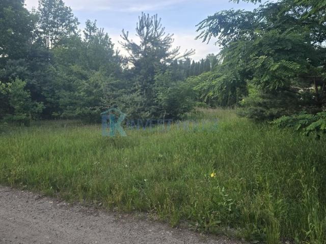 Działka 2200 m² w Czarnowie z mediami i lasem
