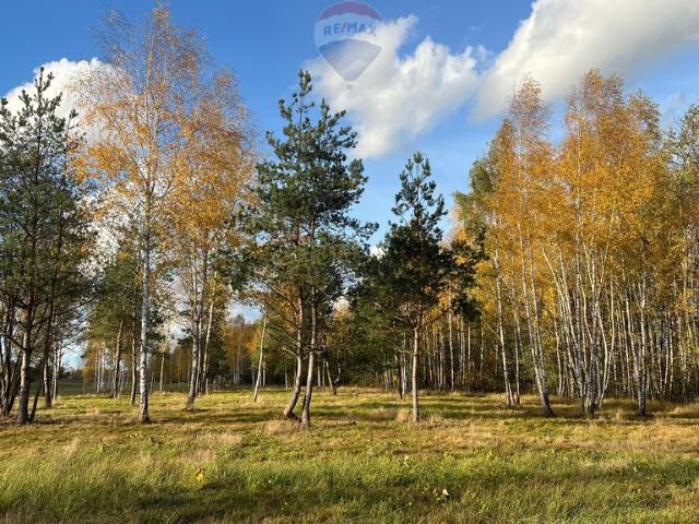 Działka 2233 m² przy lesie w Józefowie – idealna pod dom