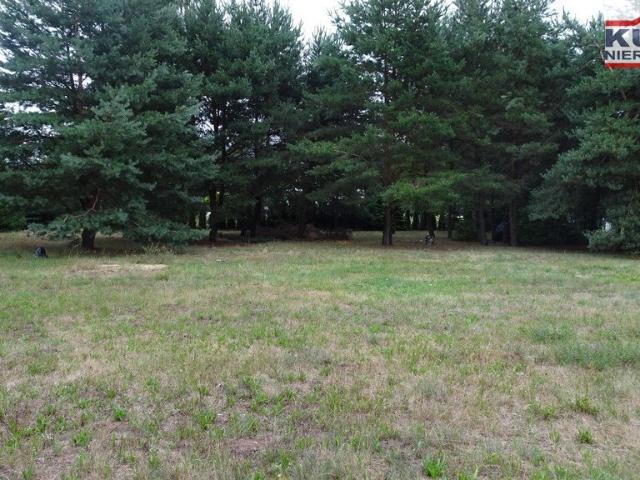 Działka 2266 m² z warunkami zabudowy, las, zieleń