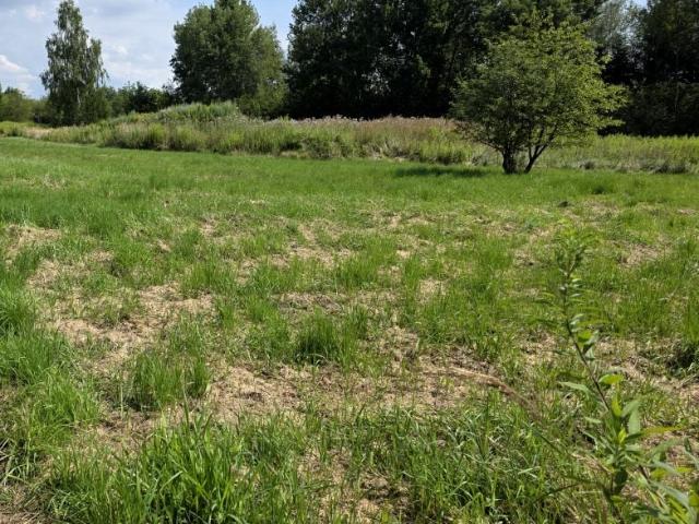 Działka 22 m², Zaczernie