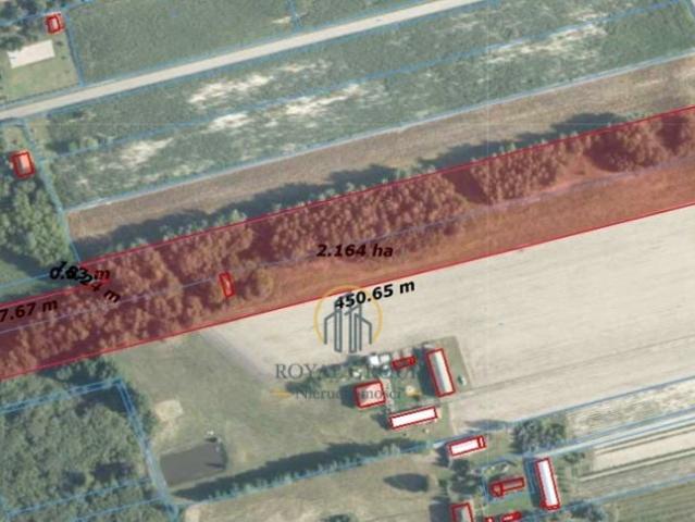 Działka 22 100 m², Rozkopaczew