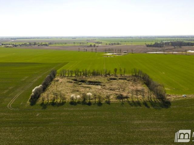 Działka 22 500 m², Witkowo Pierwsze