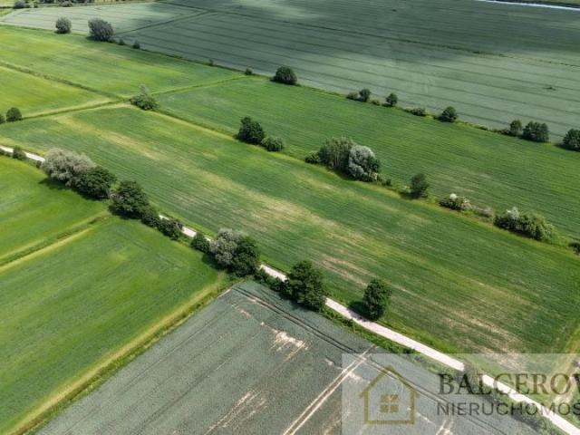 Działka 22 600 m², Świerznica