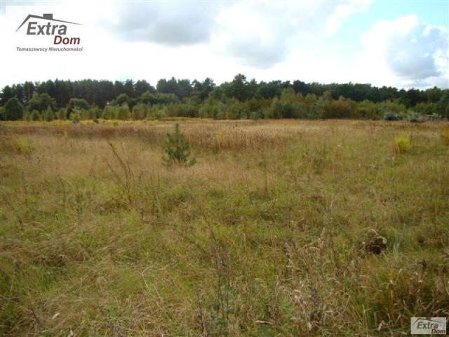 Działka 22 700 m², Resko