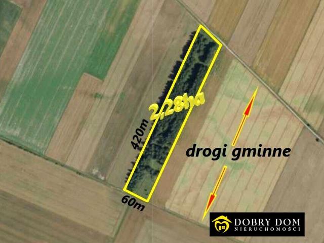 Działka 22 800 m², Krynki