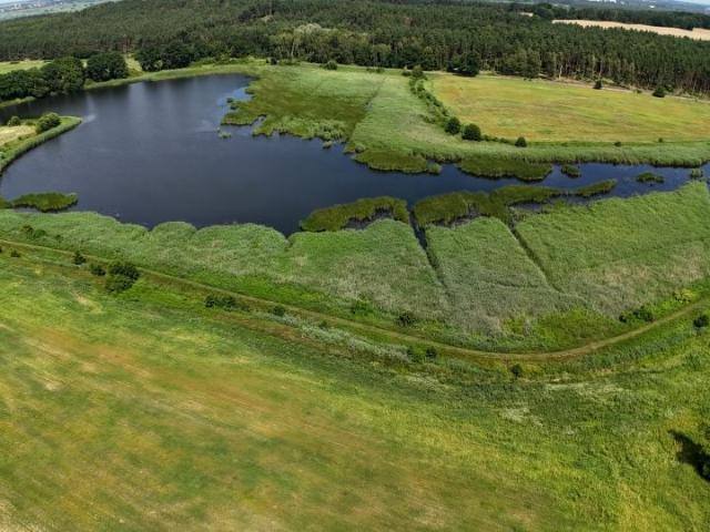 Działka 233 500 m², Marwice
