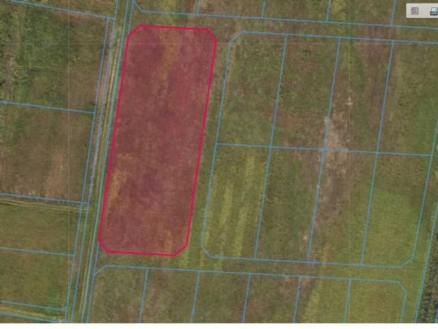 Działka 2300 m² w Drewnicy – spokojna okolica, prosty kształt